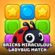 Bricks Miraculous Ladybug Match - 10x10 Grid game